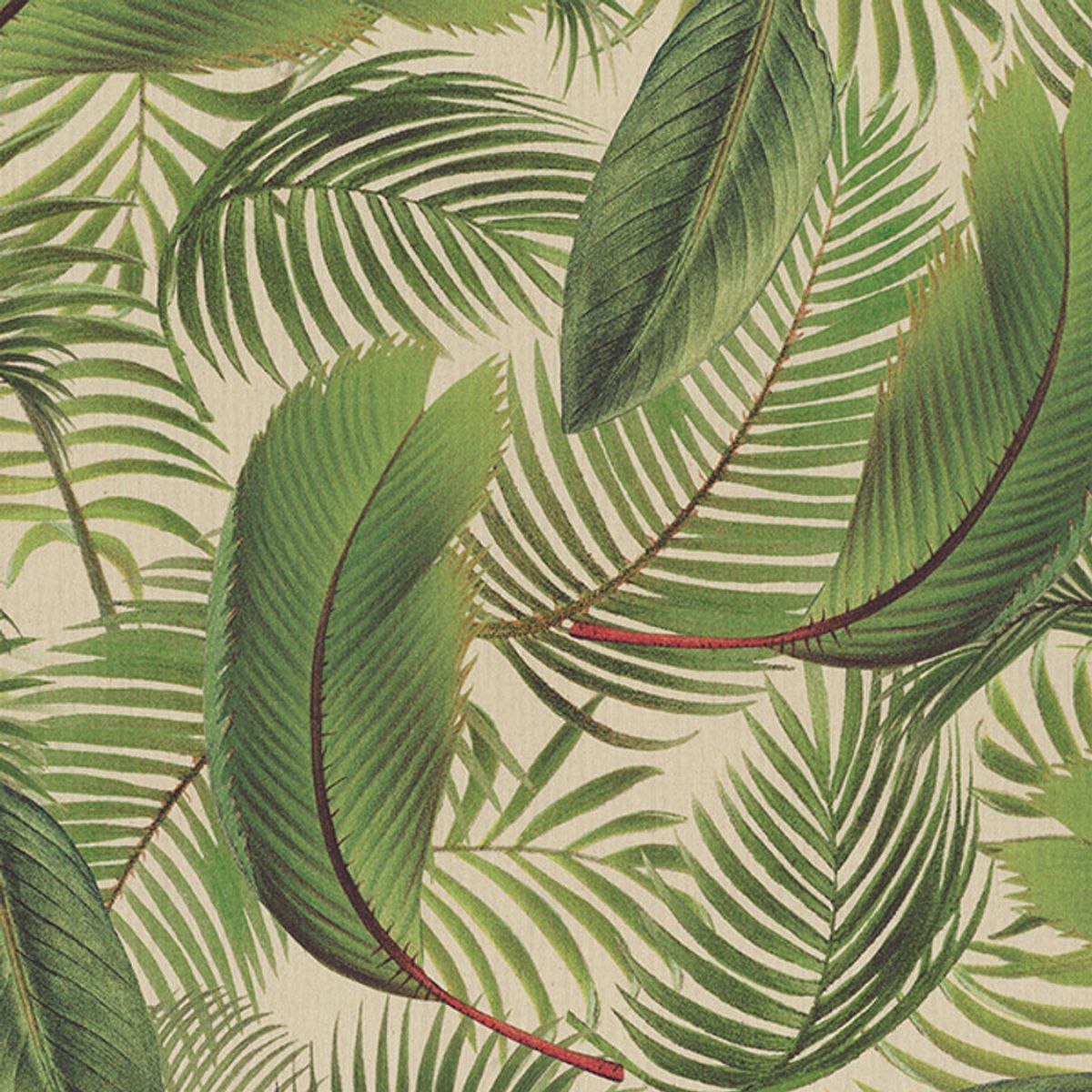 Linlook - palmblader