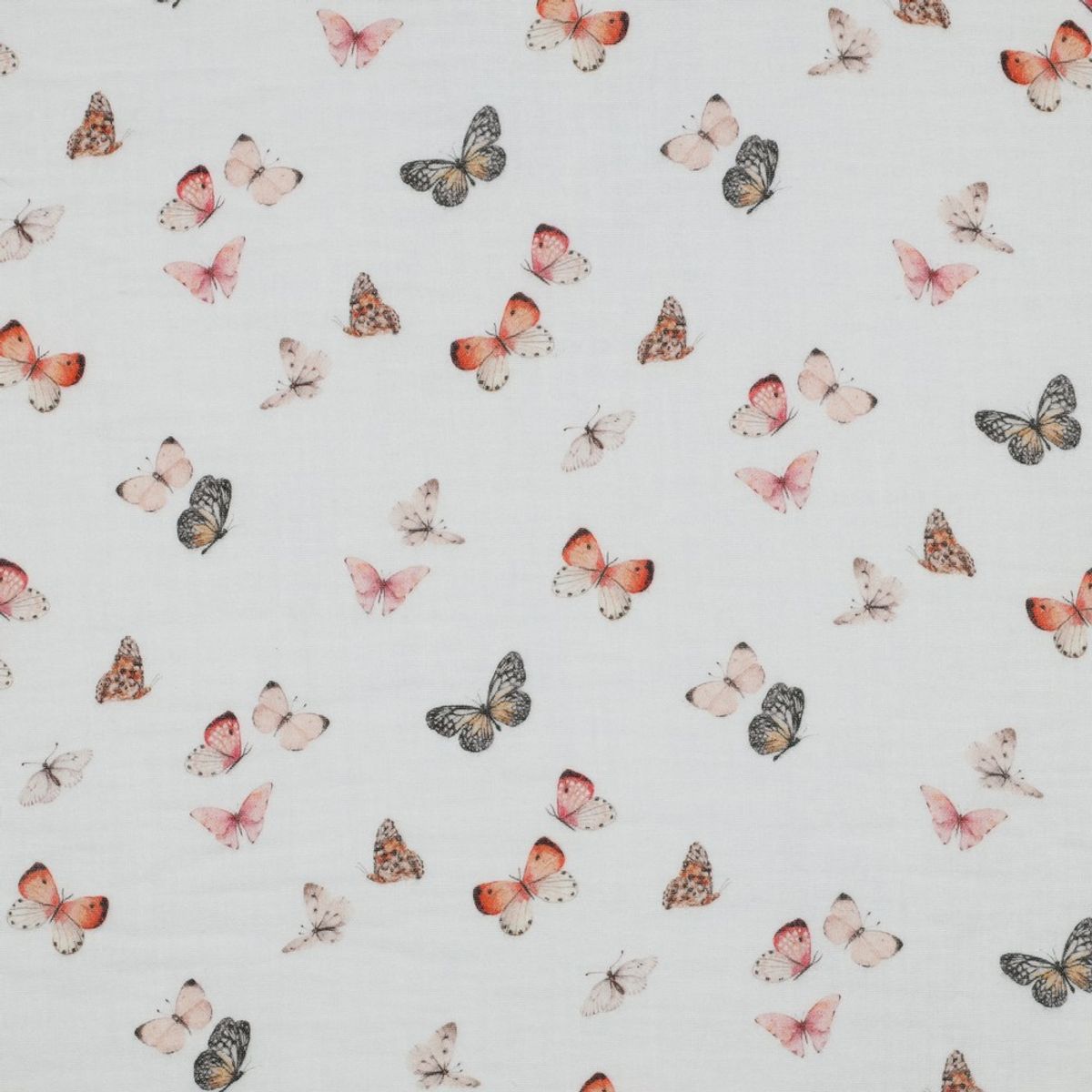 Musselin - sommerfugler
